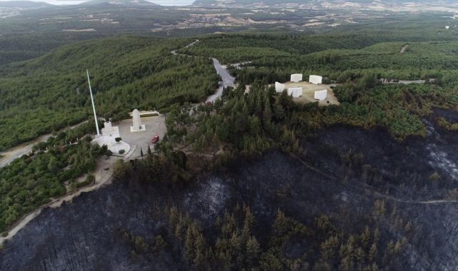 Gelibolu Tarihi Alanı'nda yanan bölge doğal görünümüne kavuşturulacak