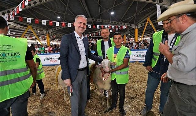 İnegöl'de Küçükbaş Hayvancılık Festivali İçin Geri Sayım Başladı