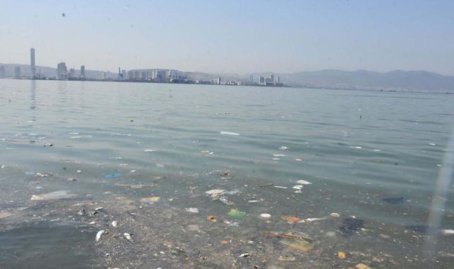 İzmir'de ölü balıklar kıyıya vurdu: Çevredekiler kötü kokudan rahatsız