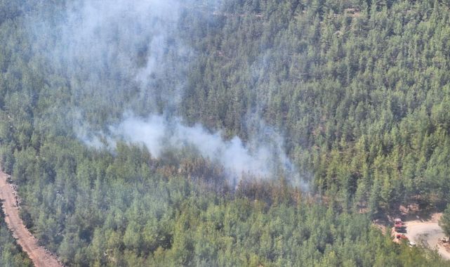 Mersin'de ormanlık alanda çıkan yangın kontrol altında