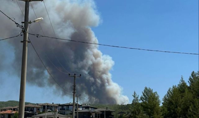 Muğla'da 2 ilçede orman yangını