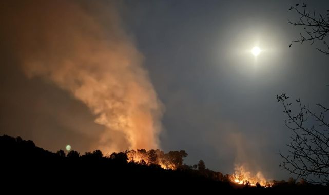 Muğla'daki orman yangınlarına müdahale sürüyor