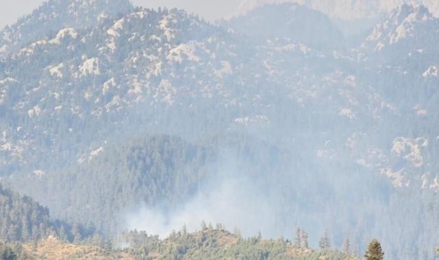 Osmaniye'de ormanlık alanda çıkan yangın kontrol altına alındı