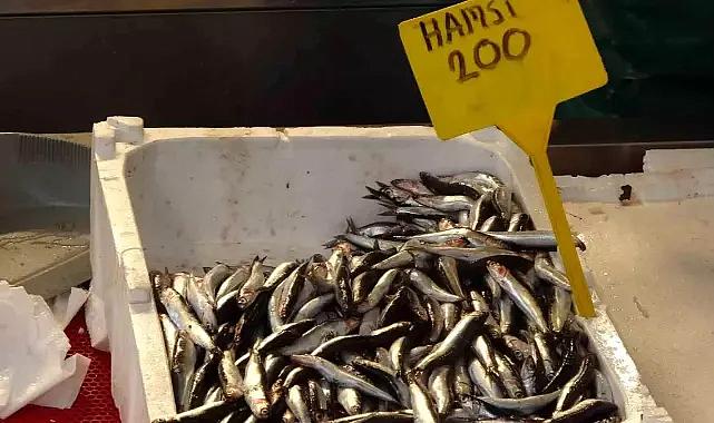 Balık tezgahları süslendi: Palamuttan sonra hamsi de yerini aldı