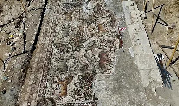 Fidan dikerken buldu! 120 bin TL'ye aldığı arsaya şimdi paha biçilemiyor