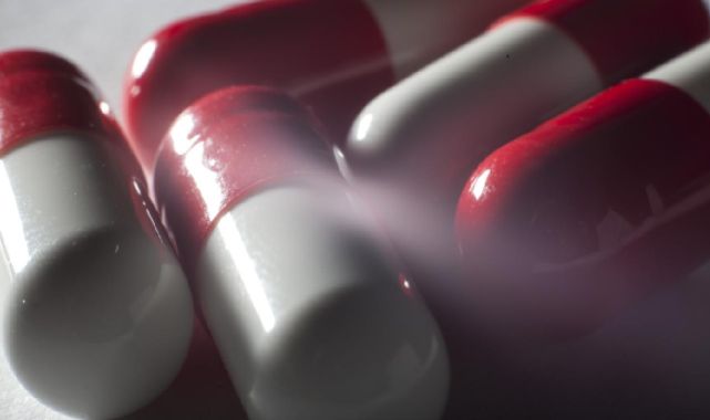 Kuzey Buz Denizi'nde yeni antibiyotikler keşfedildi