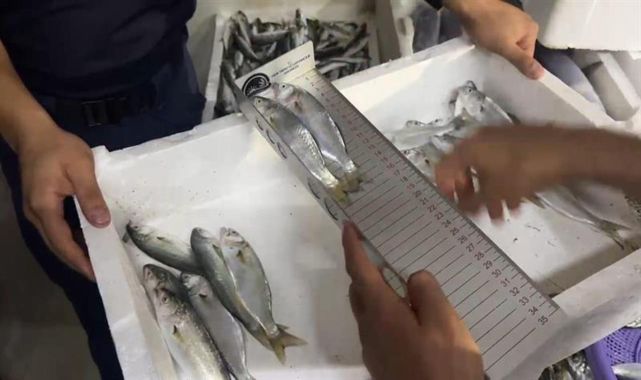 Uygunsuz avlanan 1,5 ton balığa el konuldu