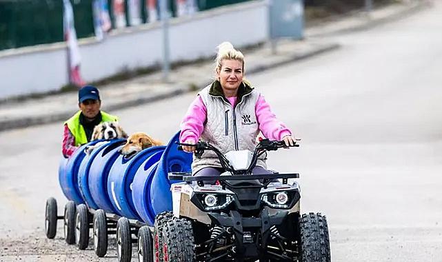 Köpek maması üzerinden sahte fatura: Hayvanseverlerden 18 milyon lira toplayıp şahsi hesabına attı