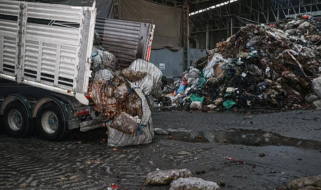 Tunus'tan iade edilmişti: Bitki hastalığı olan patatesler Mersin'de imha ediliyor