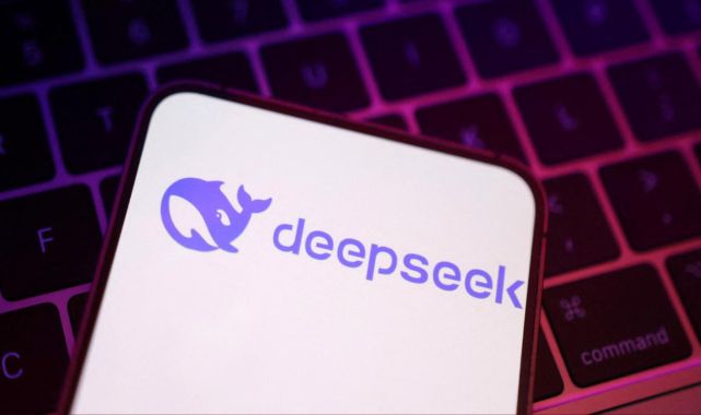 Hollanda'daki kamu cihazlarına DeepSeek yasağı