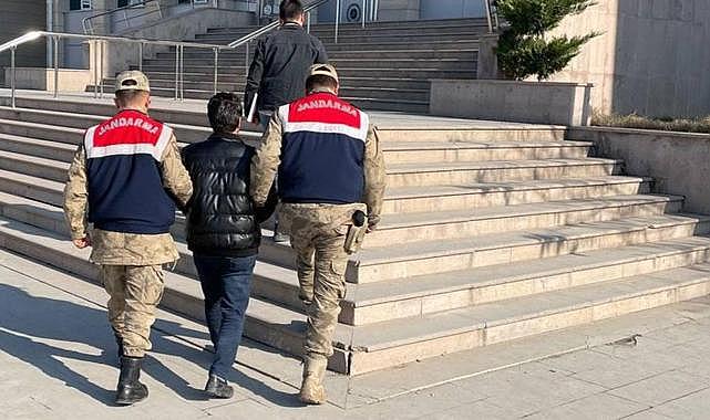 Organize dolandırıcı suç örgütlerine