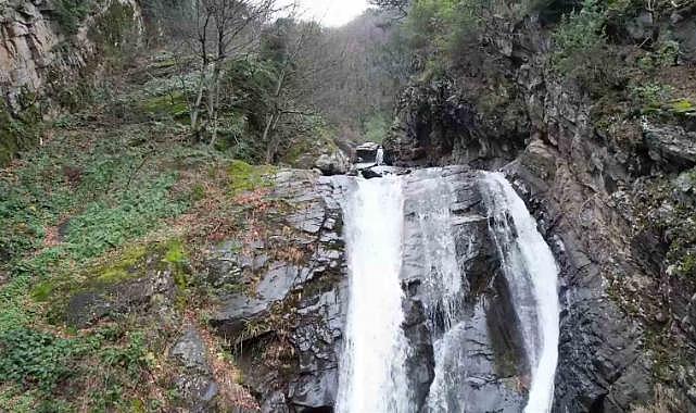 Yıldırım'daki Küreklidere Orman Parkı, 2025’te Doğaseverlerin Hizmetine Sunulacak