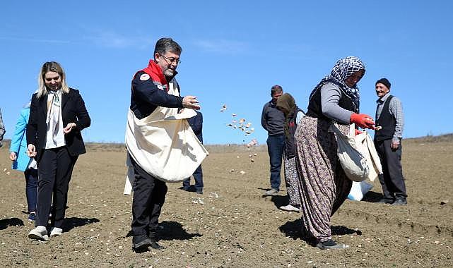 Bakan Yumaklı, Kastamonu'da sarımsak ekimine katıldı