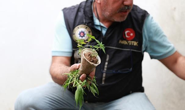 Bursa Jandarmasından uyuşturucu operasyonu