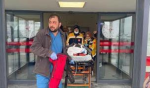 Yalova'da başıboş köpeklerin saldırdığı çocuk ağır yaralandı