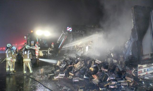 6 ton çilek yüklü tır alev alev yandı