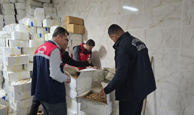 Baklavaya konmak için hazırlanan küflü ve kurtlu 11 ton ceviz ele geçirildi