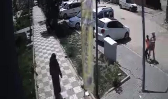 Gaziantep'te sokak köpekleri anne ve kızına saldırdı