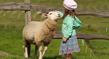 Kurban Bayramı tatilinde uzama yok