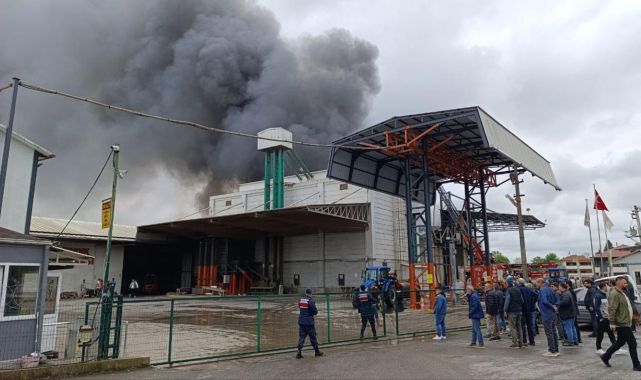 Sakarya'da fabrika yangını