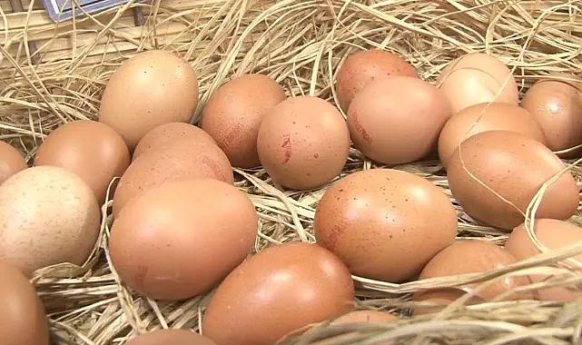 Sofralık yumurta ihracatına muafiyet düzenlemesi getirildi