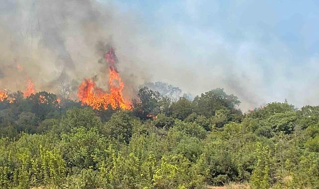 Bursa’da orman yangınlarının ardı arkası kesilmiyor