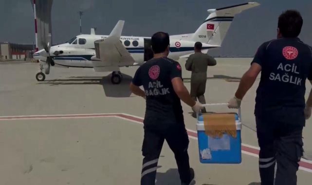 Beyin ölümü gerçekleşen gencin organları 2 kişiye umut oldu