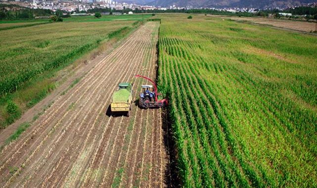 Tarımsal amaçlı örgütlerin derecelendirilmesine ilişkin esaslar düzenlendi