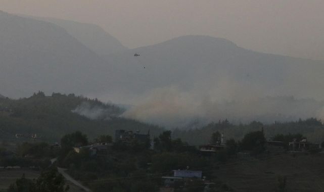 Adana'daki orman yangını kontrol altında