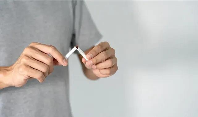 Artvin, Türkiye'nin ilk sigarasız şehri olmaya hazırlanıyor