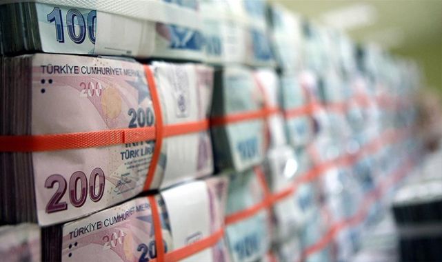 Bankalarda 732,1 milyon lira unutuldu, TMSFye geçti