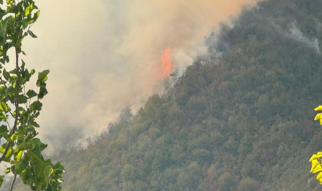 Bartın'da ormanlık alanda çıkan yangın kontrol altına alındı