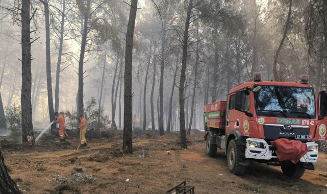 Bolu'da çıkan orman yangınına müdahale ediliyor