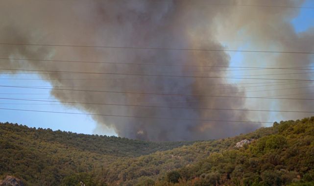 Bursa'da orman yangını: Yol trafiğe kapatıldı