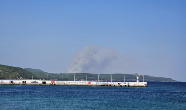 Çanakkale'de orman yangını
