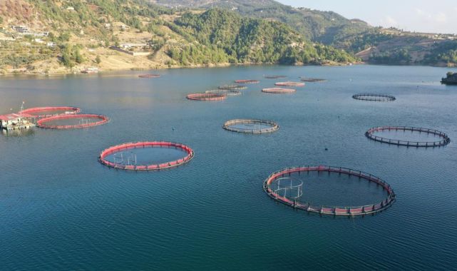 Doğu Karadeniz'den 7 ayda 26 ülkeye su ürünü ihracı