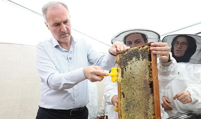 İnegöl bal üretiminde kalitesiyle dikkat çekti
