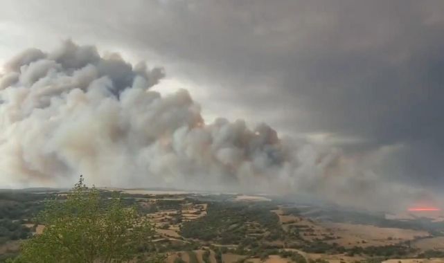 İspanya'da orman yangınlarında ölenlerin sayısı 3'e yükseldi