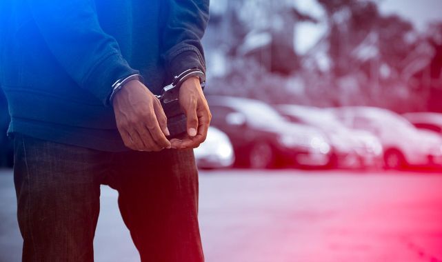 Şanlıurfa'da DEAŞ operasyonu: 4 tutuklama