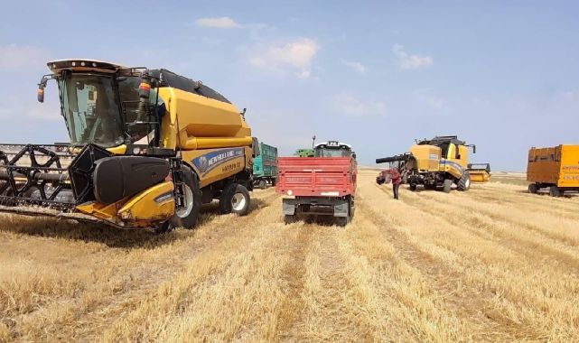 Tarımsal girdi fiyat endeksi haziranda arttı