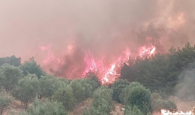 Denizli'deki yangına müdahale sürüyor