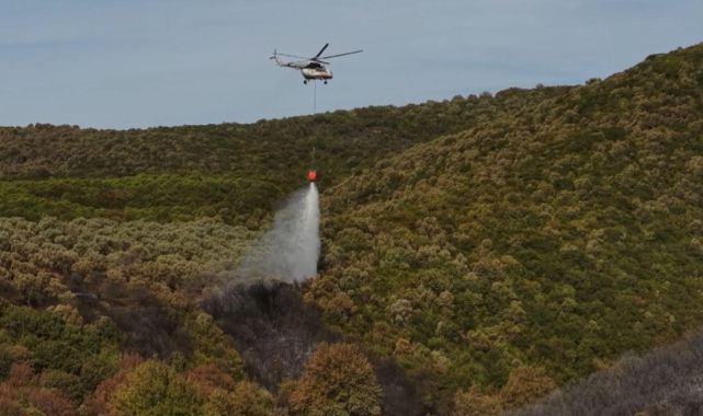 Karacabey’de çıkan orman yangını kontrol altına alındı