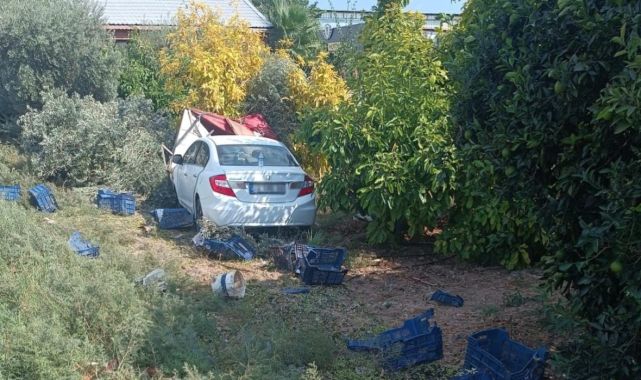 Mersin'de otomobil zeytin toplayan işçilere çarptı: 1 ölü, 3 yaralı