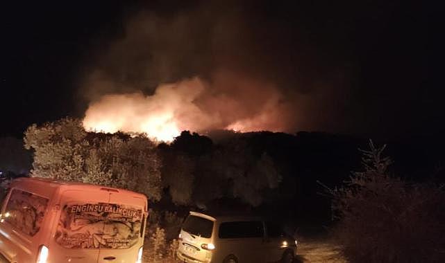 Milas'ta çıkan orman yangınına müdahale ediliyor