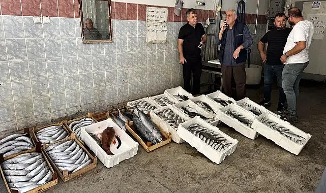 Sinop'ta bereketli av: Bir gecede 9 bin palamut yakalandı