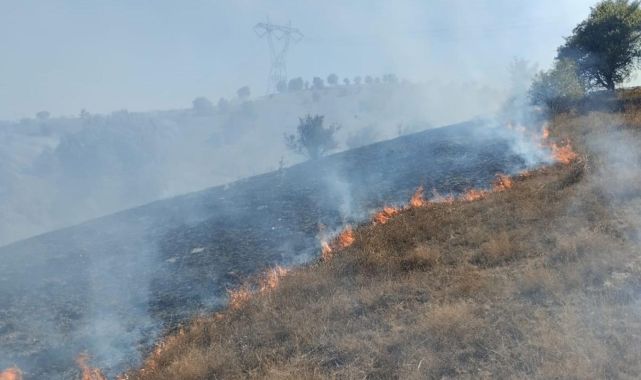 Tokat'ta makilik alanda yangın