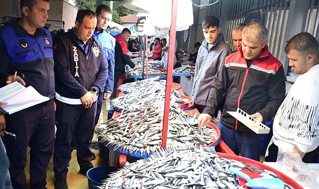 Bursa Yenişehir'de balık pazarına sıkı denetim