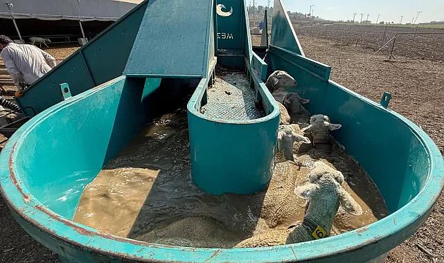 İnegöl Belediyesi İle İlçeler Arası "Tarım Ve Hayvancılıkta Güç Birliği"