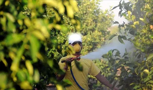 Bakan Yumaklı, zehirlenme vakaları sonrası adımları açıkladı: Zirai ilaçlar reçete ile alınacak