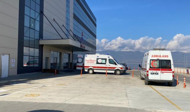 Burdur'da başıboş sokak köpekleri 13 yaşındaki kıza saldırdı
